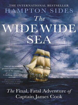 cover image of The Wide Wide Sea